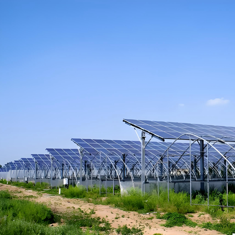 Kostenwirksame Bodensolarhalter für Großprojekte, langlebige Zuverlässigkeit