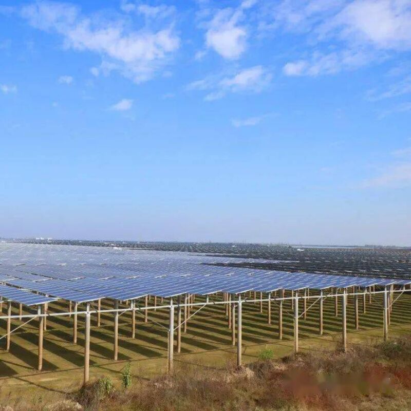 Solar-Montagegestelle für den Boden, die eine hohe Wind- und Schneelastbeständigkeit bieten, mit einzigartigem Pfahldesign und vormontierten Komponenten